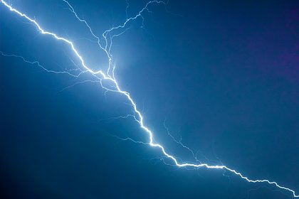 Во Франции молния ударила по посетителям зоопарка