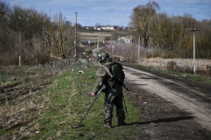 Названо число обезвреженных в Курской области взрывоопасных предметов