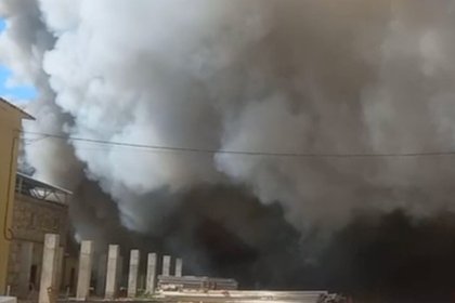 Более ста тысяч животных заживо сгорели при пожаре на российском предприятии
