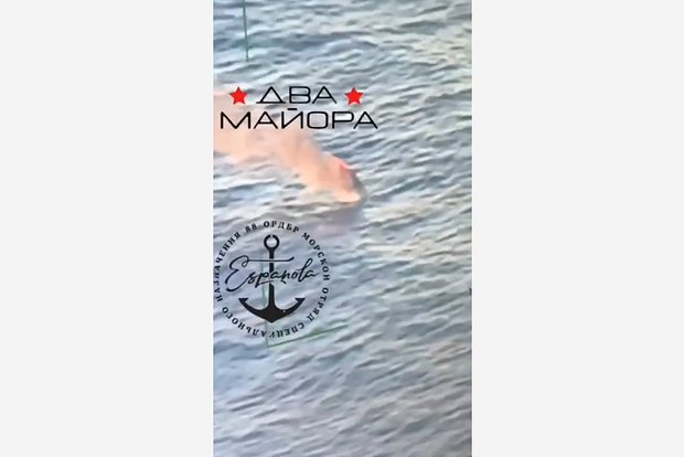 Вводная картинка