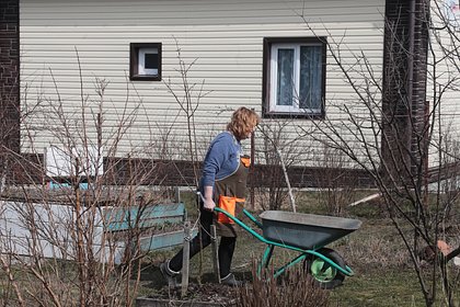 Дачников призвали расставить по огороду пятилитровые бутылки