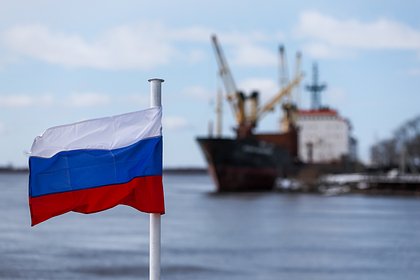 Россия рекордно нарастила поставки одного вида продукции в Южную Корею