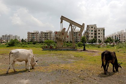 Одна страна предложила России поучаствовать в нефтегазовой разведке