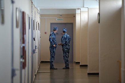 Избавившегося от профессионального соседа россиянина выпустили из СИЗО