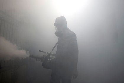 Опасные вирусы добрались до Европы