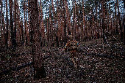 Влияние отказа от 30-дневного перемирия на переговоры России и Украины оценили