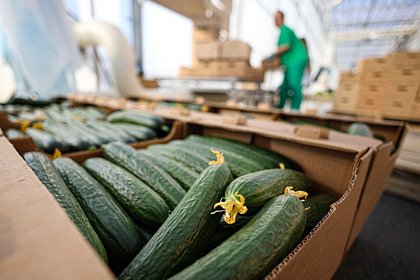 Названы самые подешевевшие фрукты и овощи в России