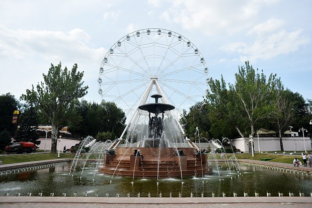 Вводная картинка