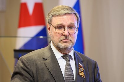 В Совфеде уличили Европу в желании надавить на Трампа
