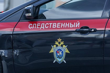 В СПЧ отреагировали на появление подражательницы маньяка Пичушкина