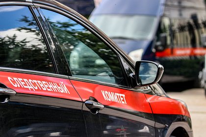 Глава СК Бастрыкин заявил о росте совершенных мигрантами террористических преступлений