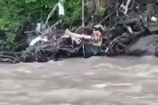 Вводная картинка