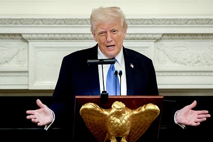 Стали известны детали разговора Трампа с Зеленским