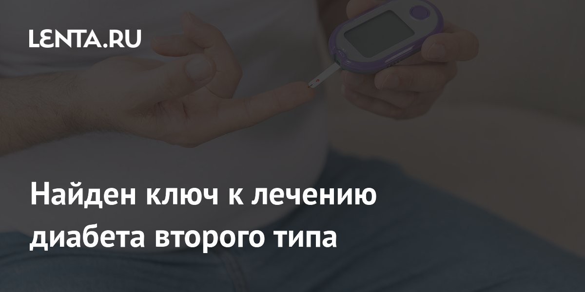 lenta.ru