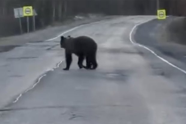 Вводная картинка