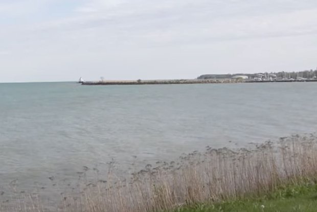 Вводная картинка