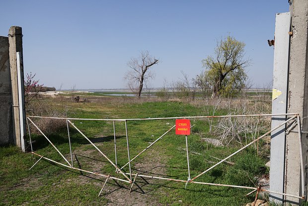 Вводная картинка