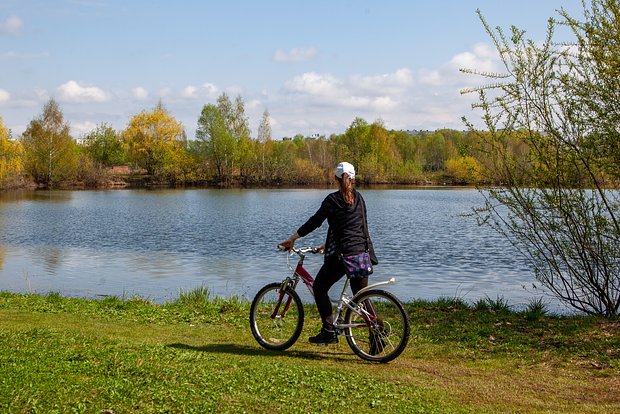 Вводная картинка