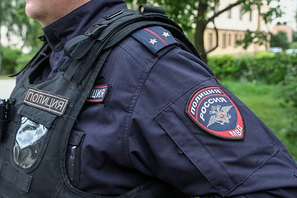 В Госдуме призвали МВД к проверке из-за истязания котенка в Подмосковье