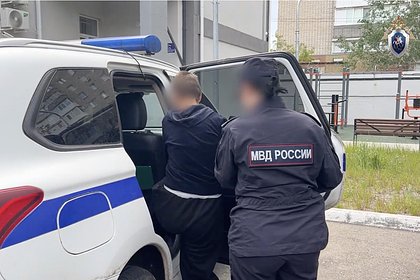 Юной последовательнице битцевского маньяка предъявили обвинение в российском регионе