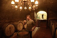 «Тут дело не в моде» Россияне все чаще пьют вино. Что заставило их полюбить этот напиток?