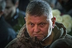 Валерий Залужный