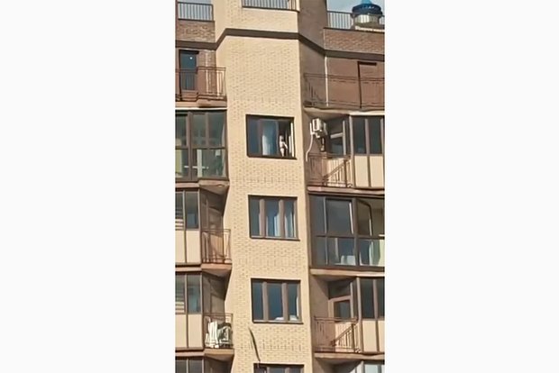Вводная картинка
