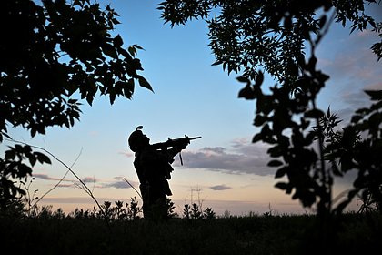 Аналитик оценил возможность восстановления ВСУ в случае перемирия