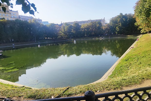 Вводная картинка