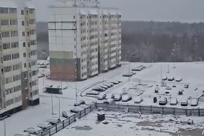 В двух российских регионах выпал снег и попал на видео