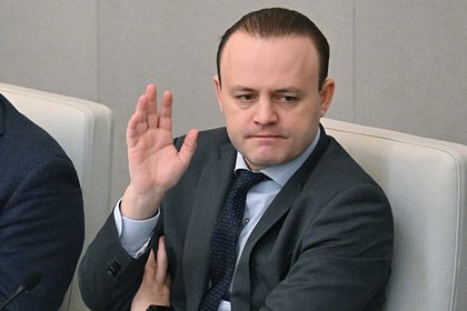 Вице-спикер Госдумы ответил на призыв Мизулиной возбудить против него дело