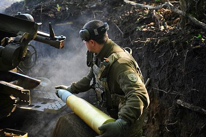 Затягивание конфликта на Украине объяснили желанием ЕС «спасти свои задницы»