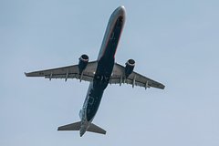 news_image 