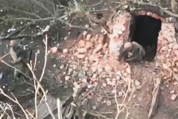 Вводная картинка