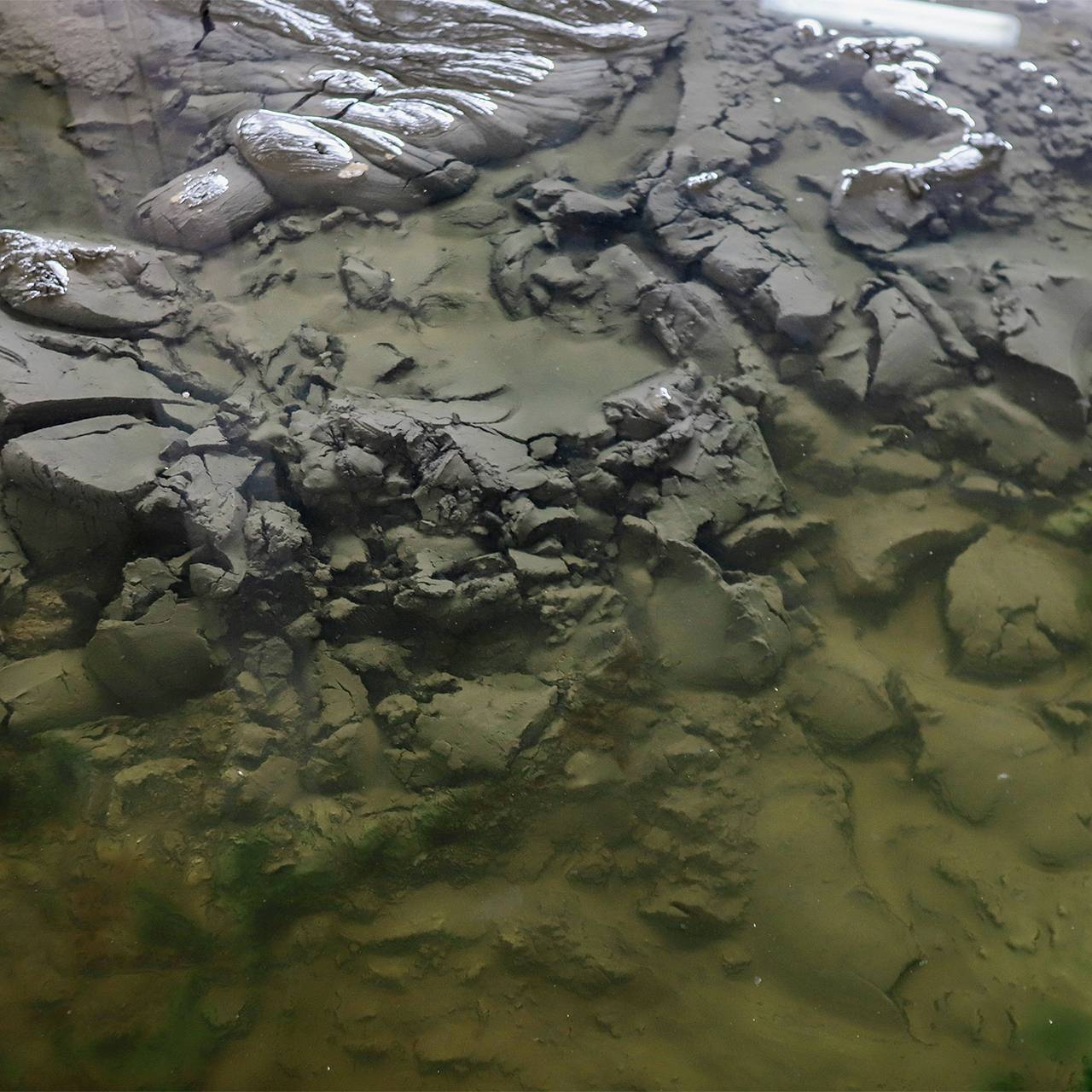 Российские ученые захотели создать косметику из грязи