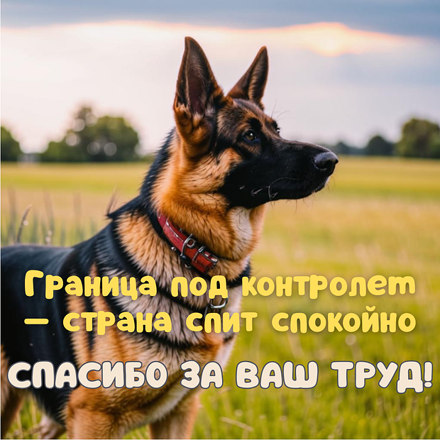 Милая открытка с Днем пограничника