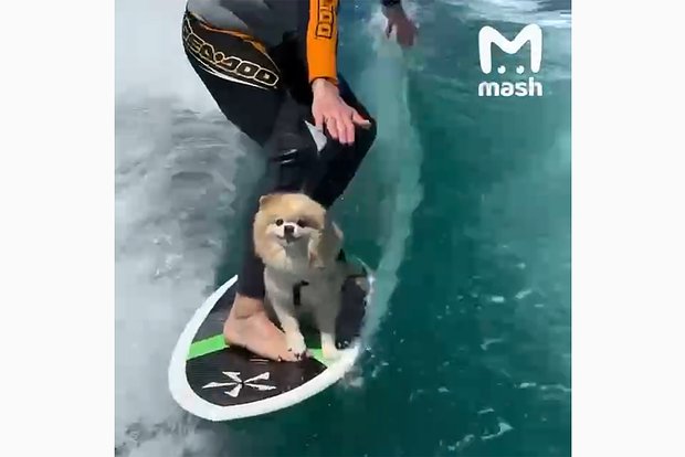 Вводная картинка