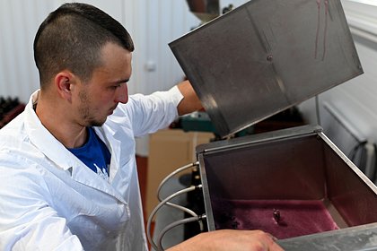 Ставших предпринимателями россиян предупредили о штрафах