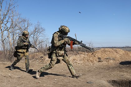 Стало известно о взятии под контроль ВС России Редкодуба