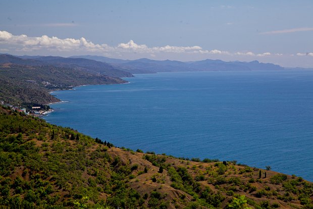 Вводная картинка