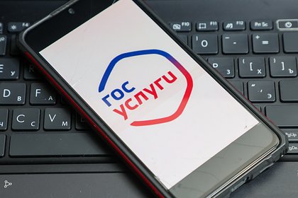 В МВД раскрыли изменения в схемах доступа мошенников к «Госуслугам»
