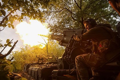 В Германии призвали Украину прекратить огонь и подчиниться России