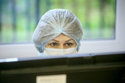 В России прокомментировали завозные случаи смертельной лихорадки чикунгунья
