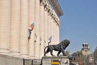 В Болгарии начались массовые протесты из-за перехода на евро 