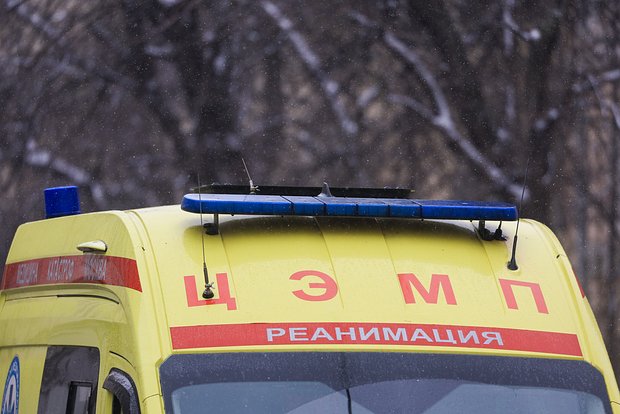 Вводная картинка