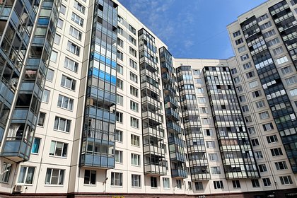 В Мытищах мигрантка потребовала вернуть ей жилищный сертификат на 24 миллиона рублей