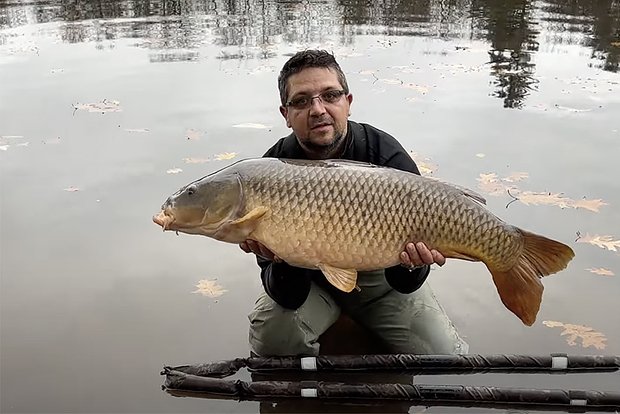 Вводная картинка