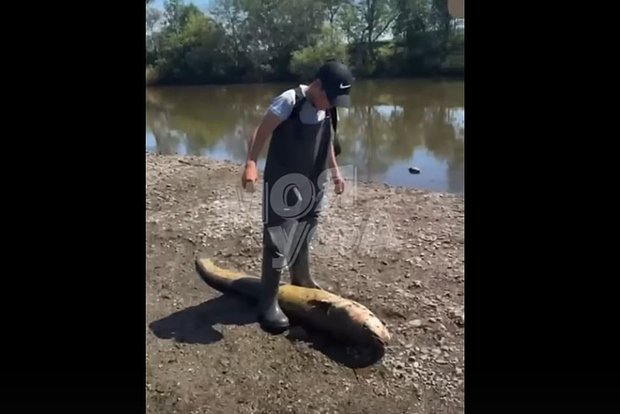Вводная картинка