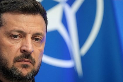 Зеленского уличили в стремлении подставить Трампа