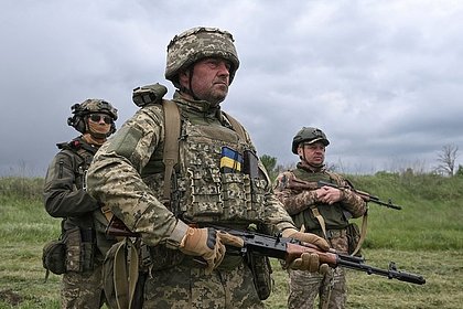 Стало известно о пяти попытках прорыва ВСУ в Курскую область в день переговоров в Стамбуле